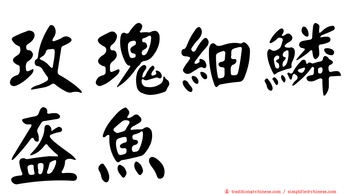 玫瑰細鱗盔魚