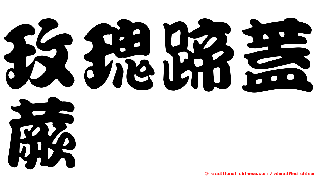 玫瑰蹄蓋蕨