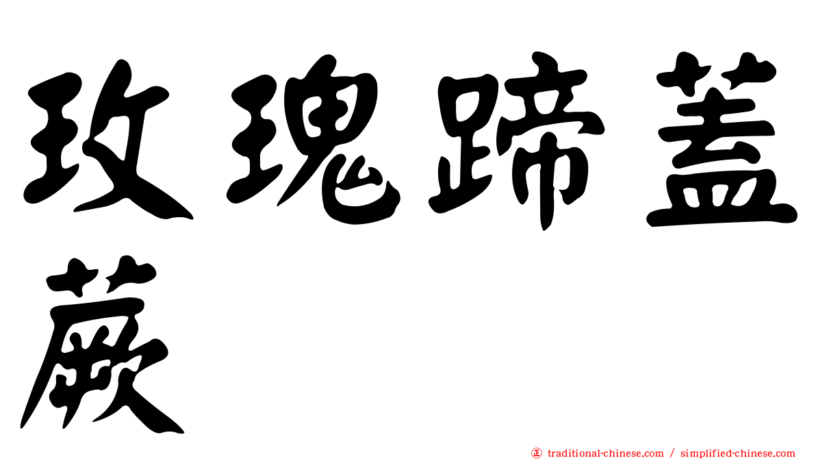 玫瑰蹄蓋蕨