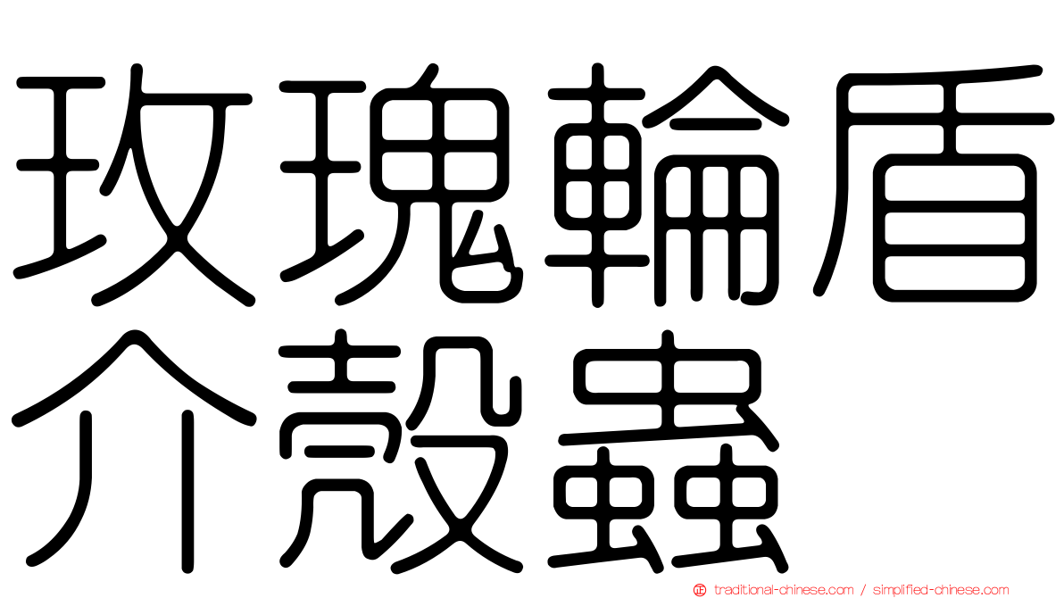 玫瑰輪盾介殼蟲