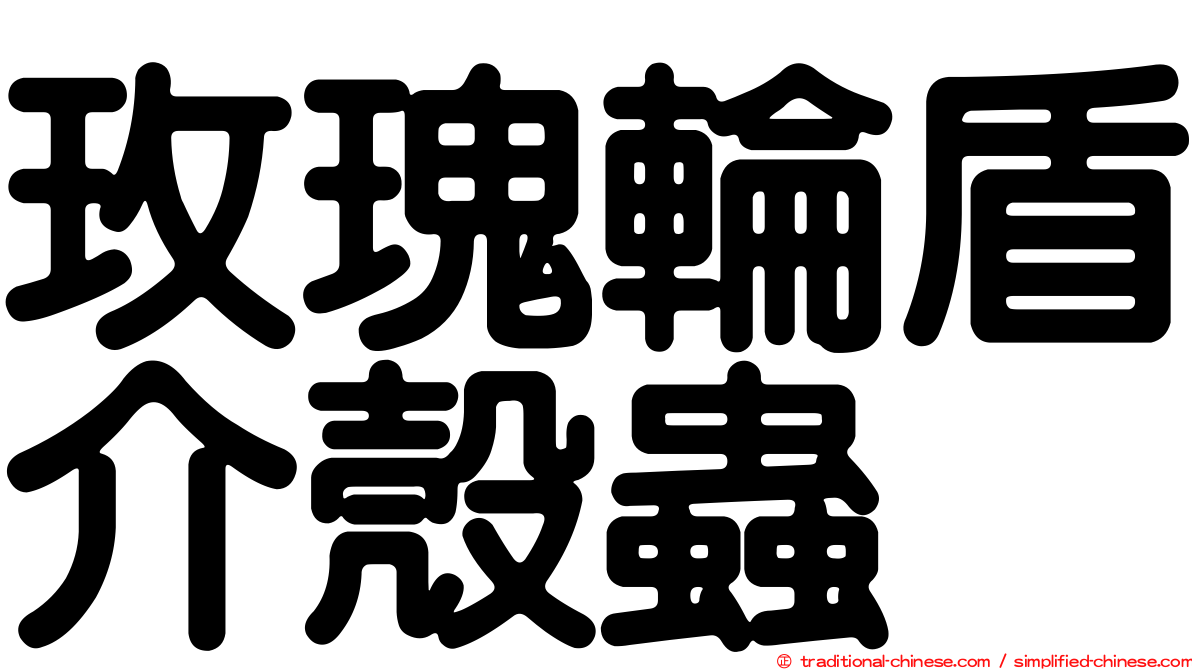 玫瑰輪盾介殼蟲