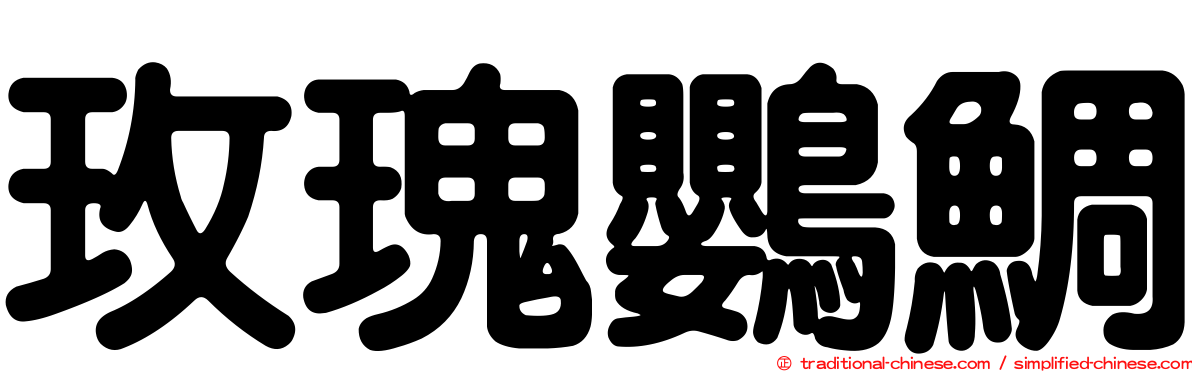 玫瑰鸚鯛