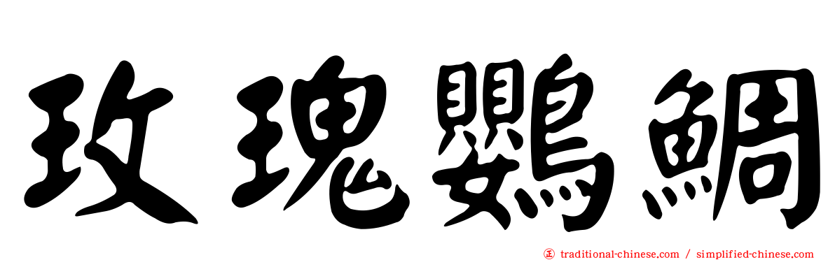 玫瑰鸚鯛