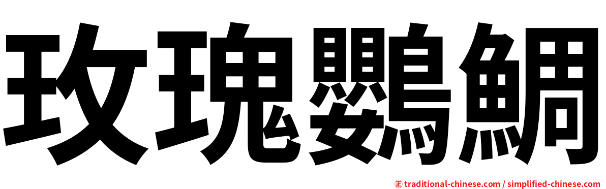玫瑰鸚鯛