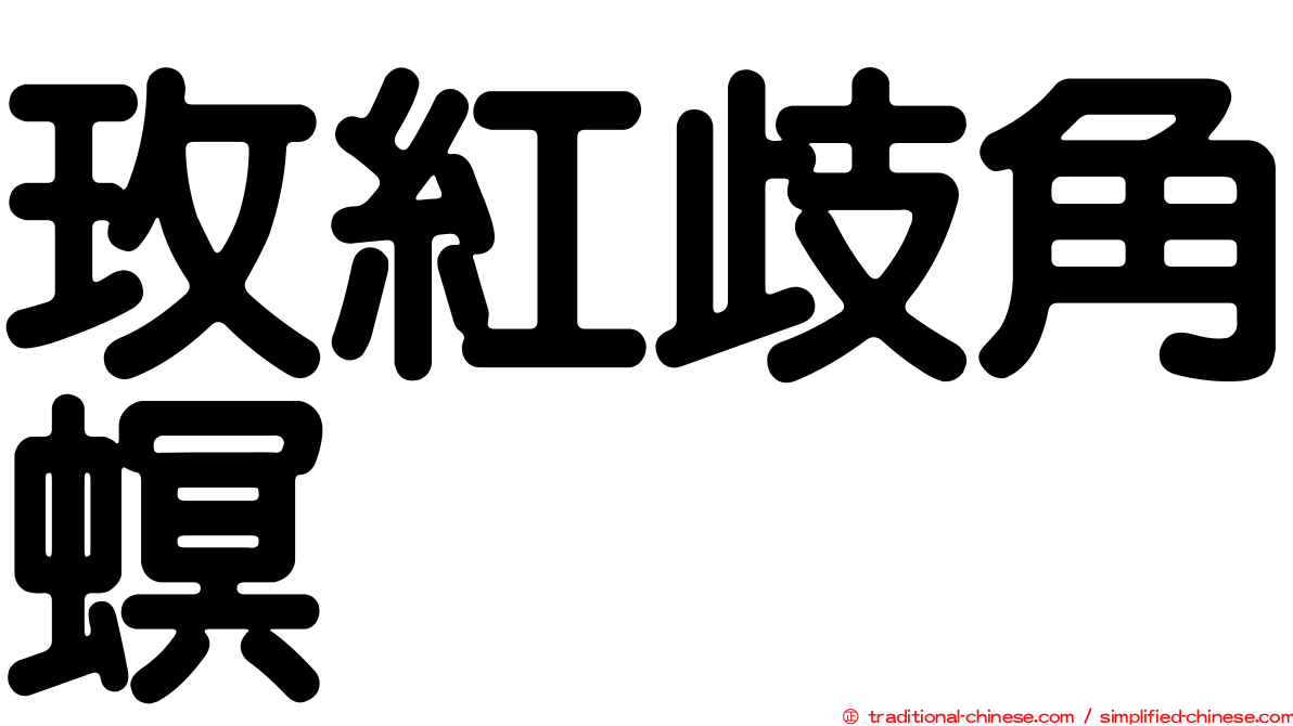 玫紅歧角螟