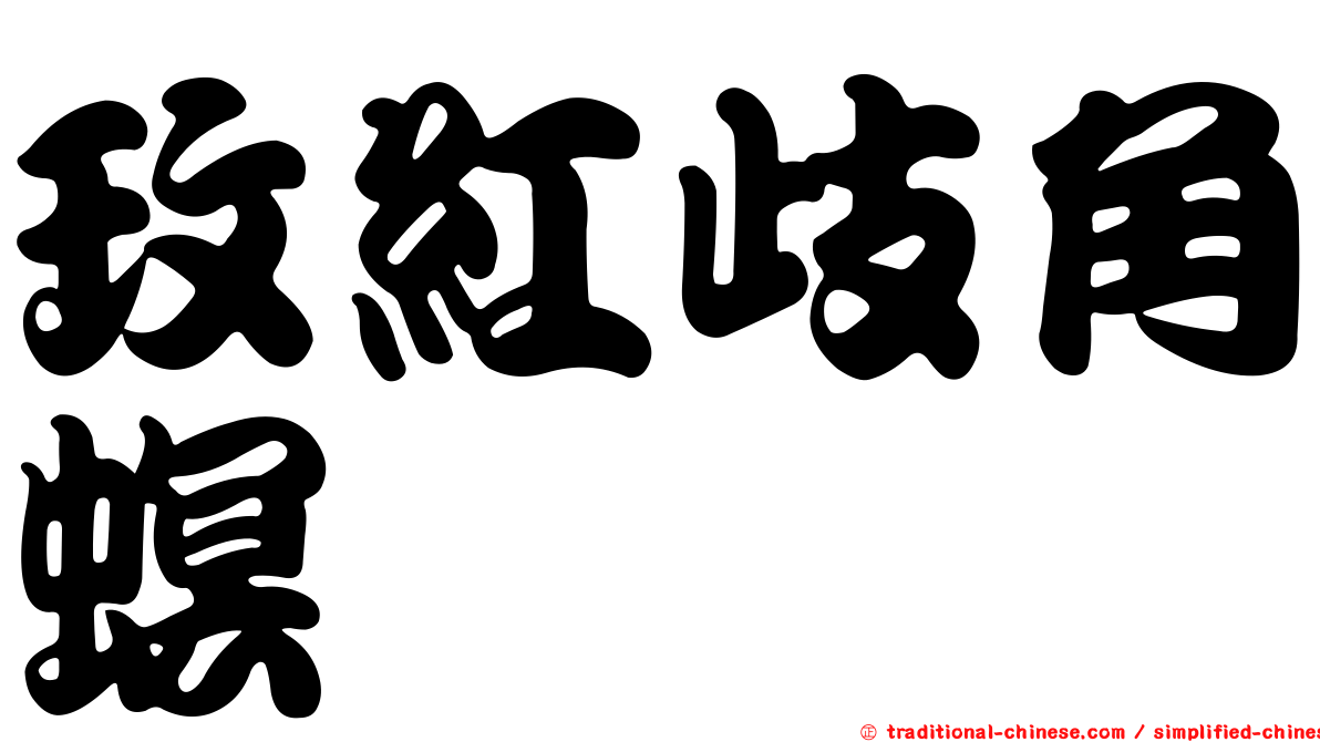 玫紅歧角螟
