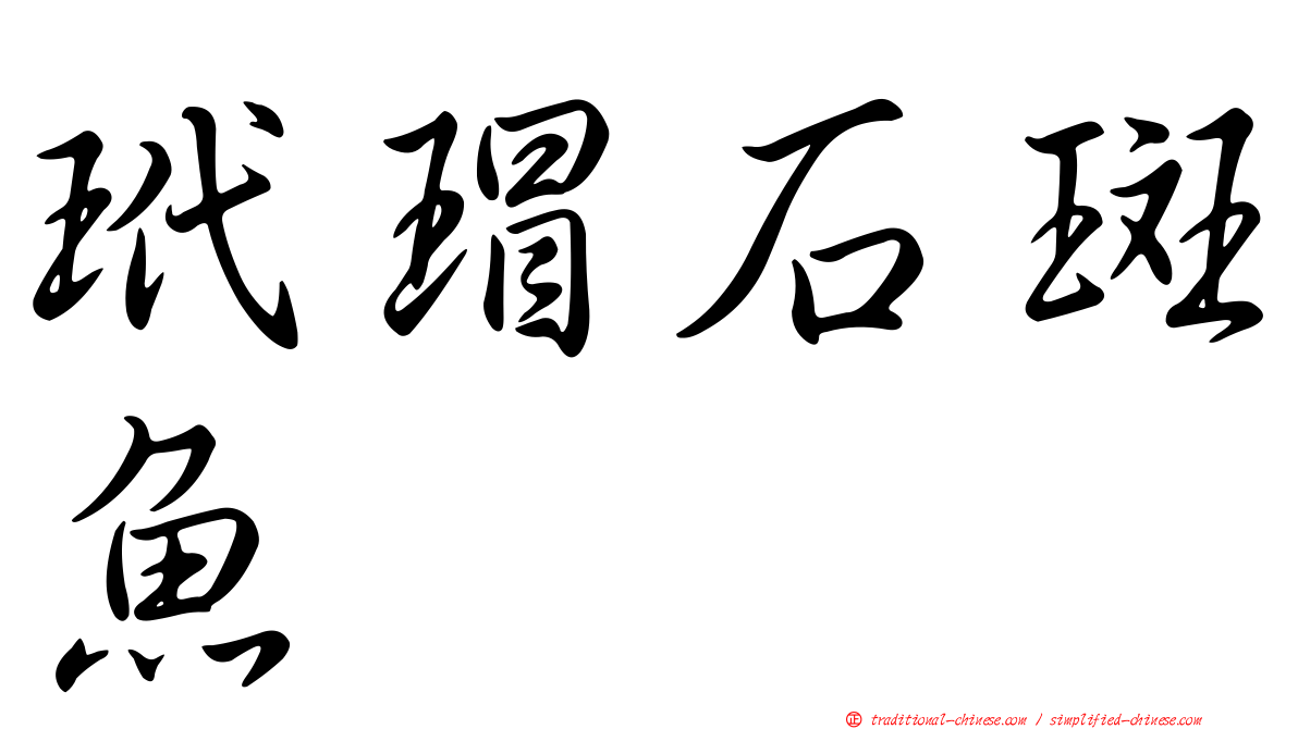 玳瑁石斑魚