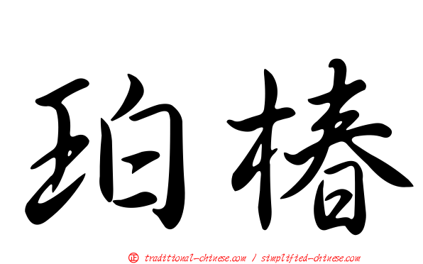 珀椿