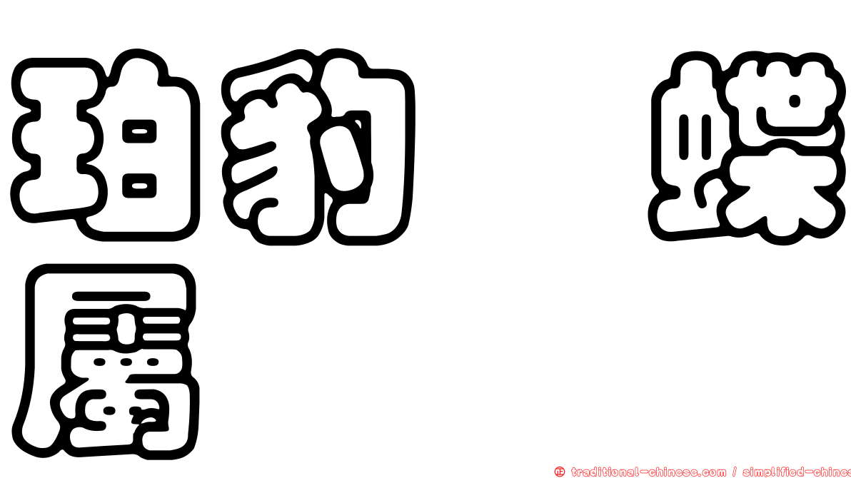 珀豹蛺蝶屬