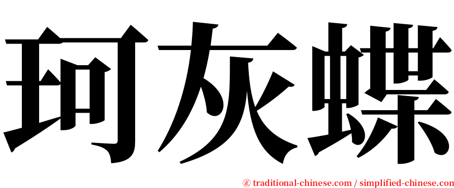 珂灰蝶 serif font