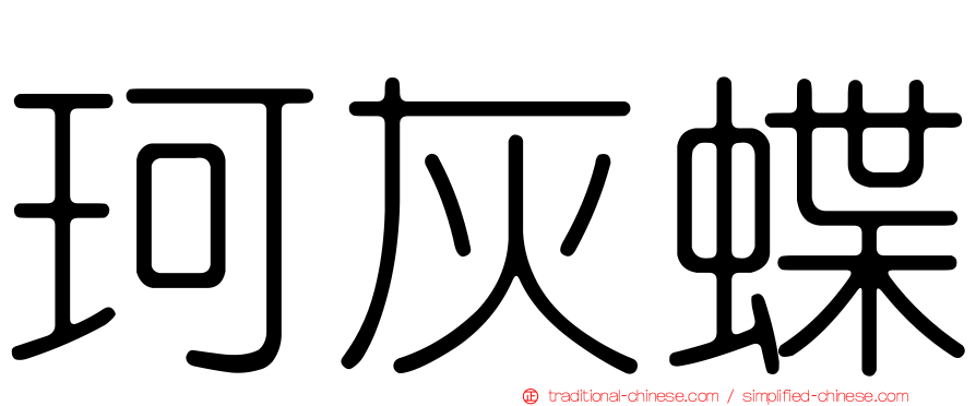 珂灰蝶