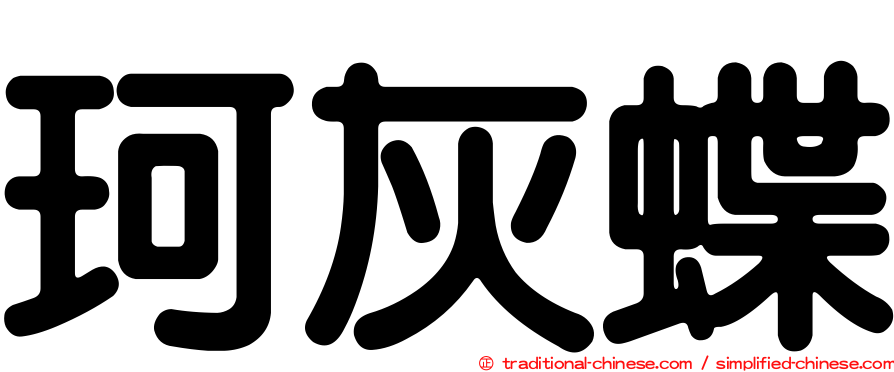 珂灰蝶