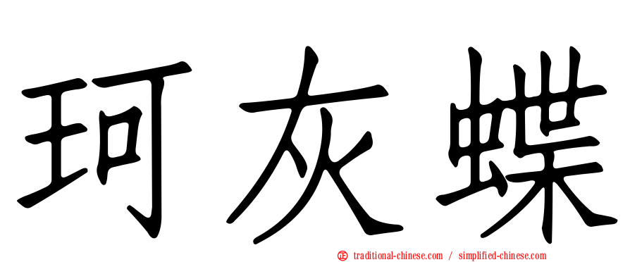 珂灰蝶