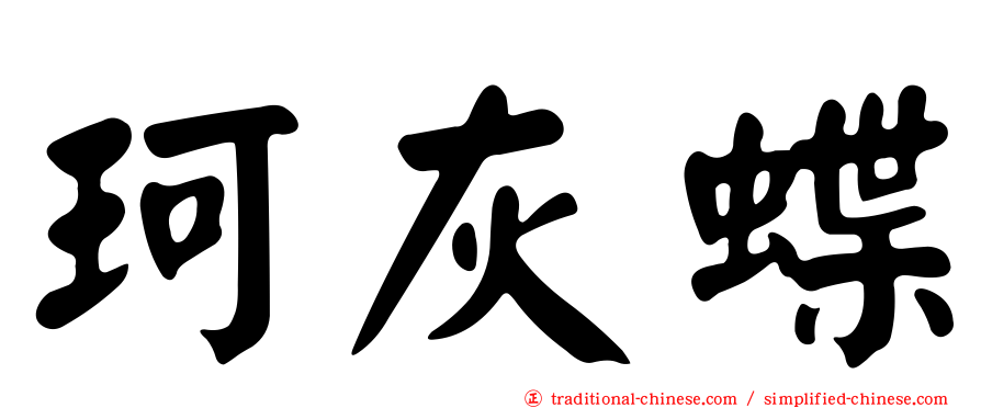 珂灰蝶
