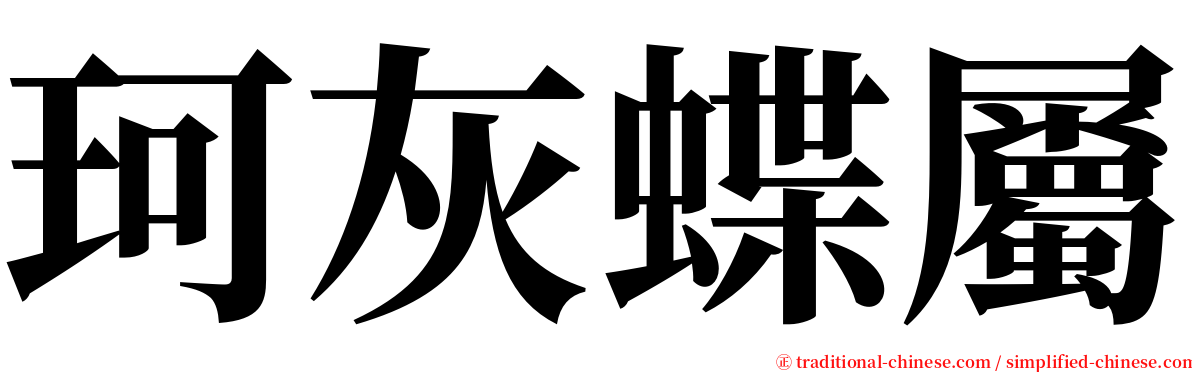 珂灰蝶屬 serif font