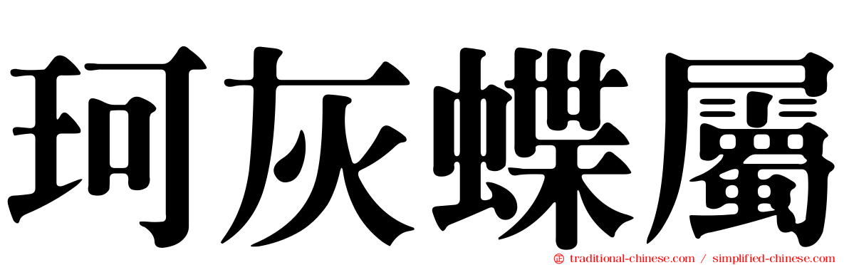珂灰蝶屬