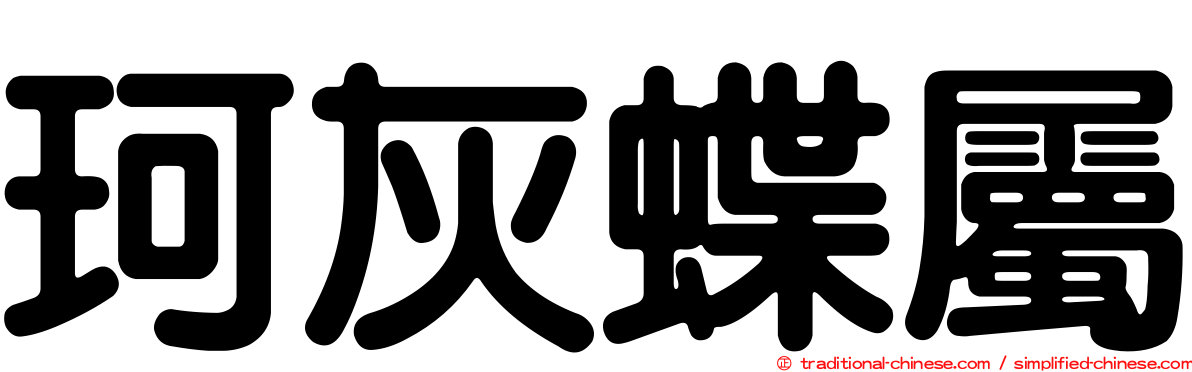 珂灰蝶屬