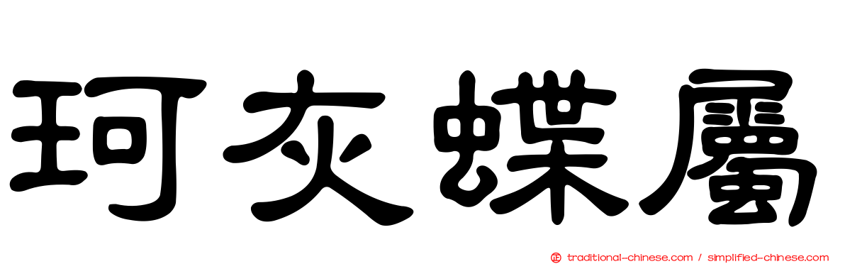 珂灰蝶屬