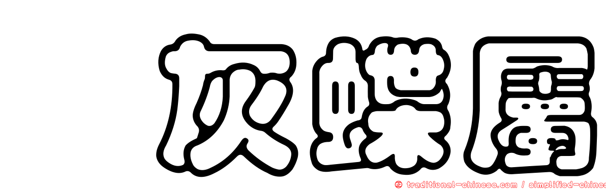 珂灰蝶屬