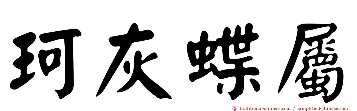 珂灰蝶屬