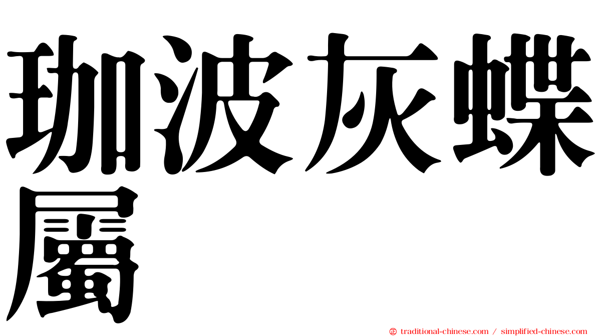 珈波灰蝶屬