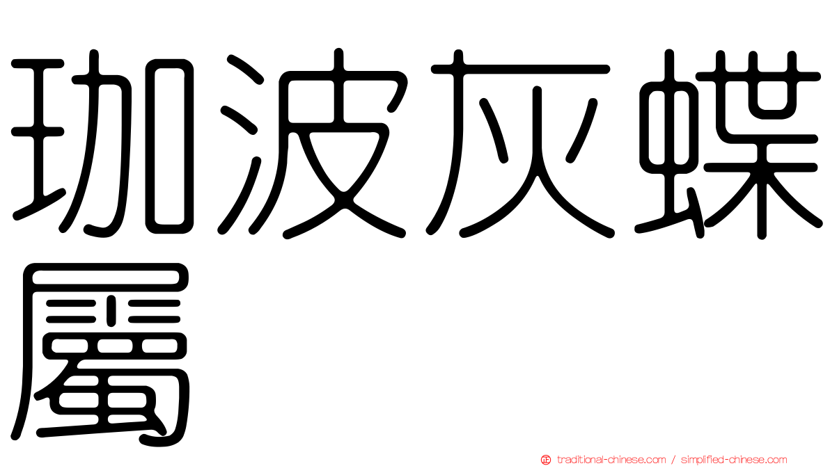 珈波灰蝶屬