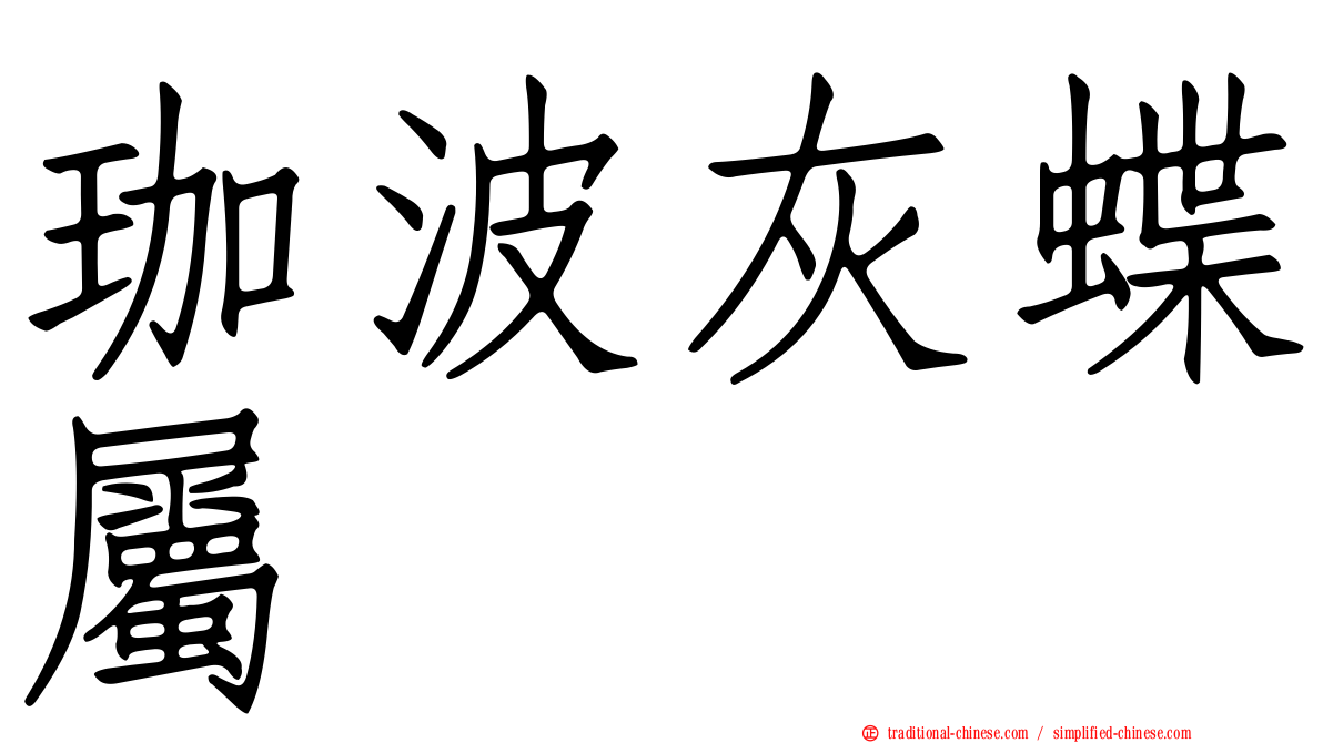 珈波灰蝶屬