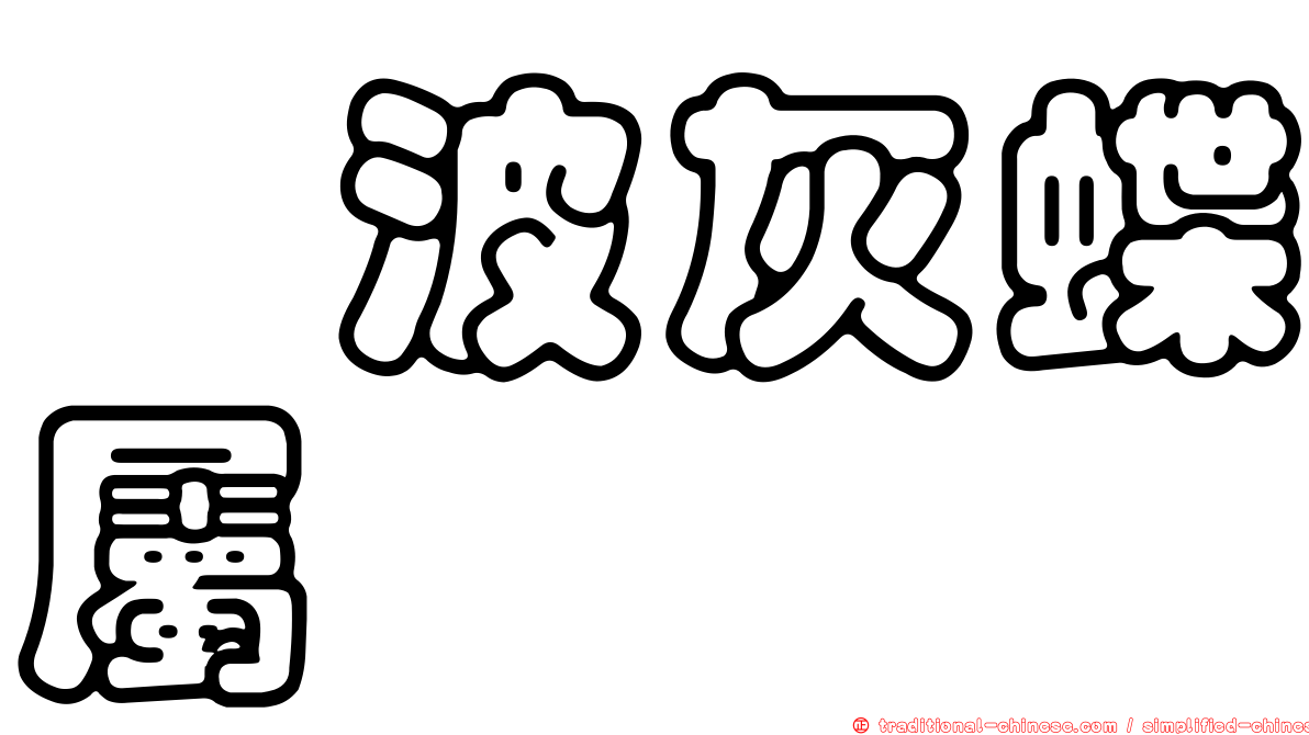 珈波灰蝶屬
