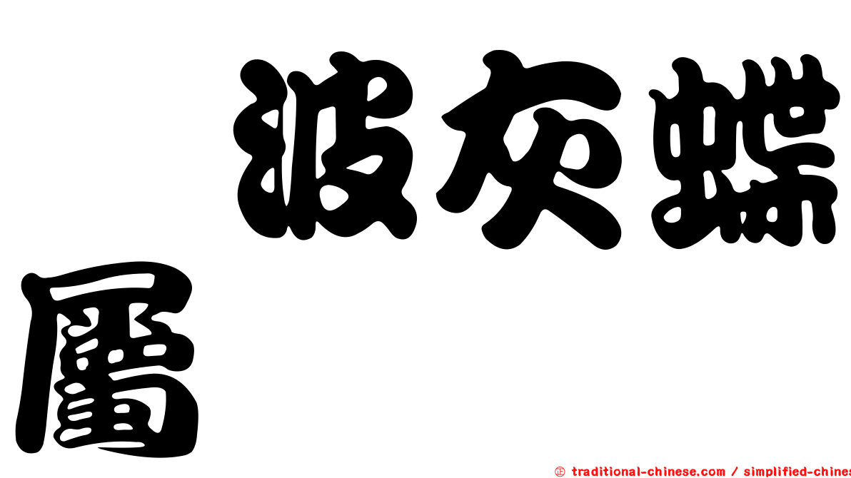珈波灰蝶屬