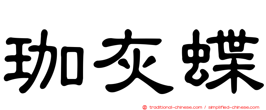 珈灰蝶
