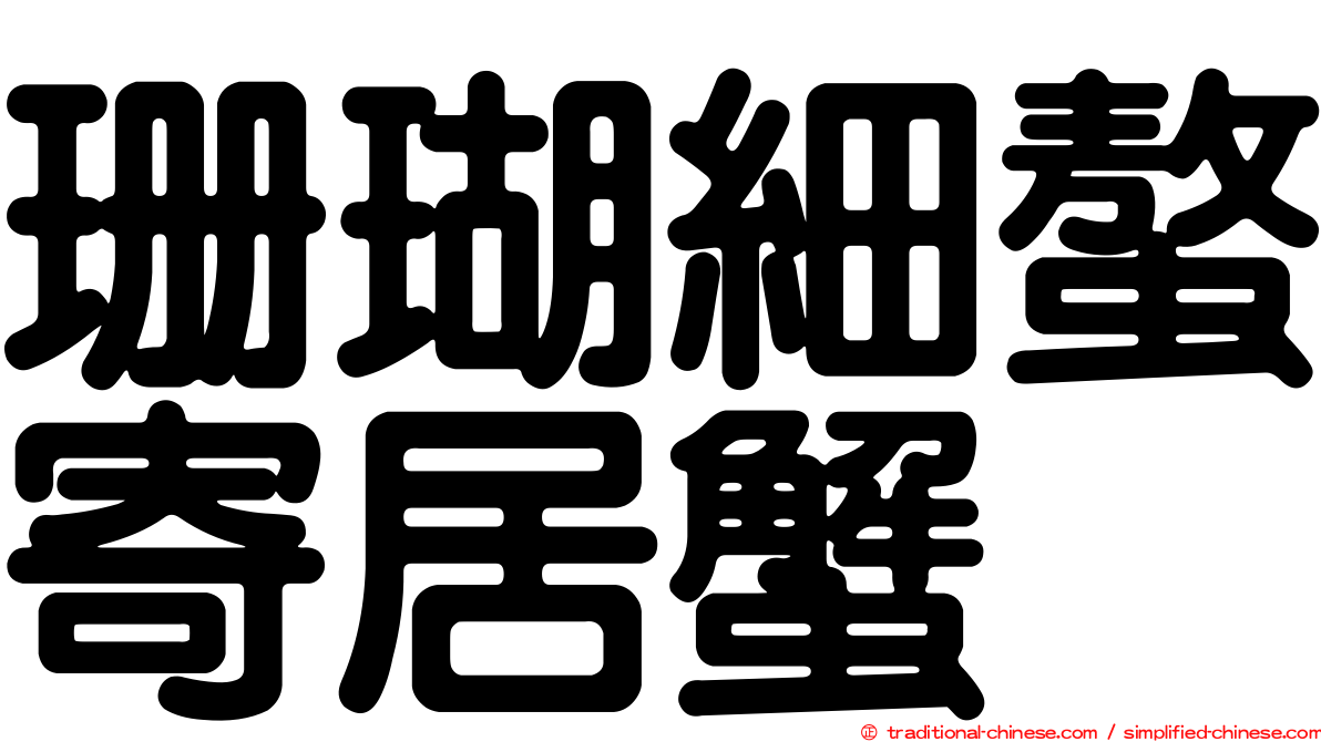 珊瑚細螯寄居蟹