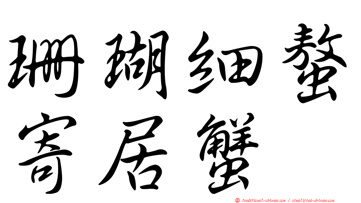 珊瑚細螯寄居蟹