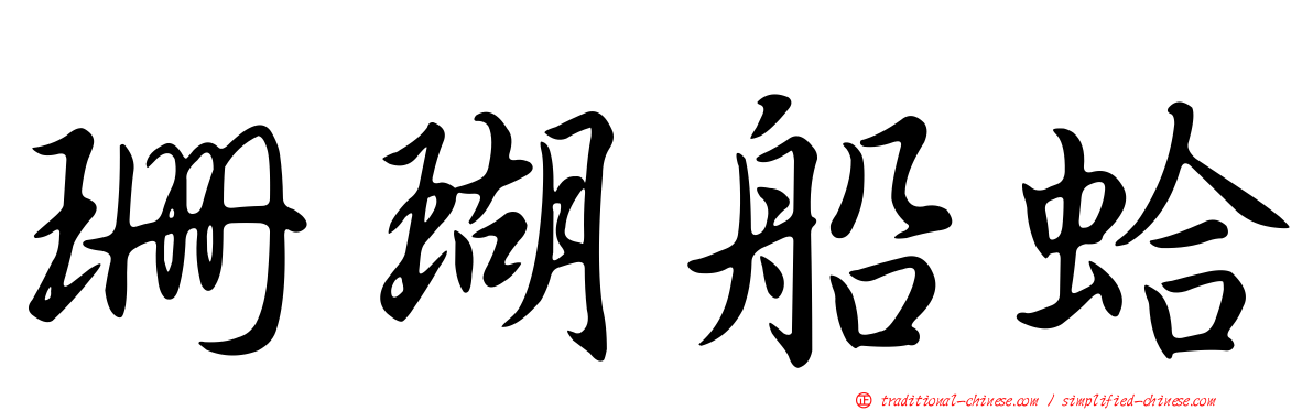珊瑚船蛤