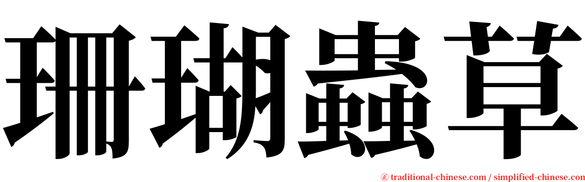 珊瑚蟲草 serif font