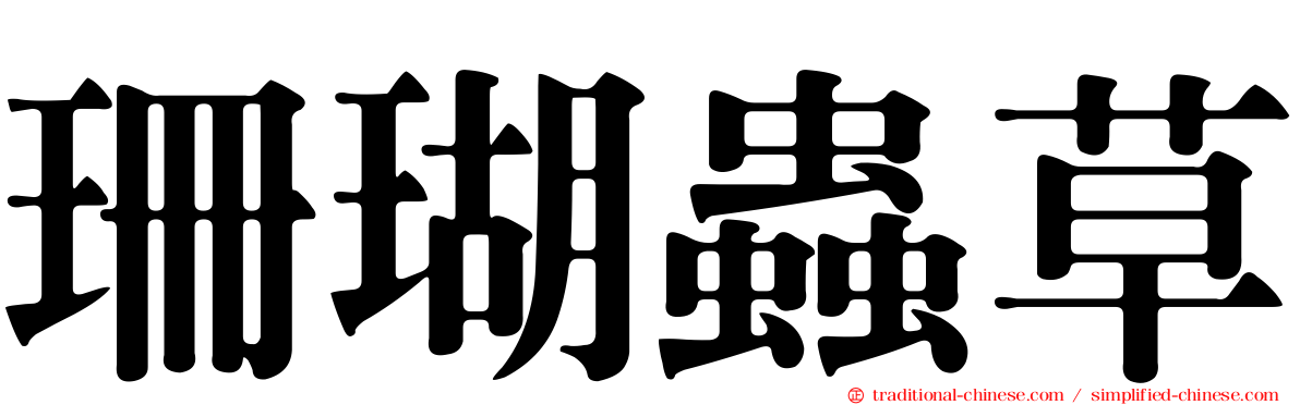 珊瑚蟲草