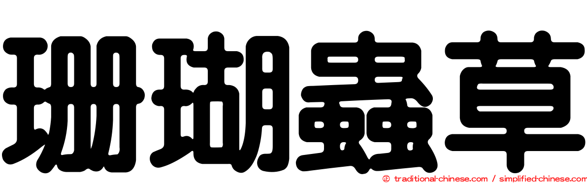 珊瑚蟲草