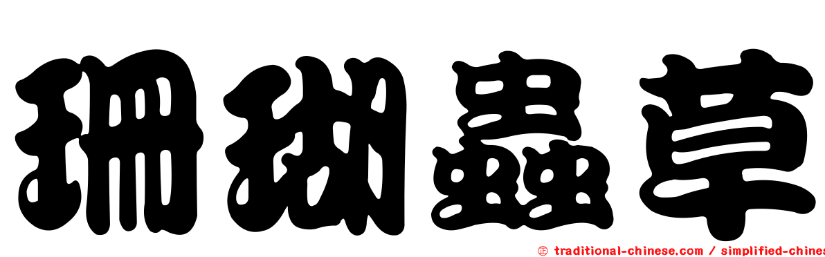 珊瑚蟲草