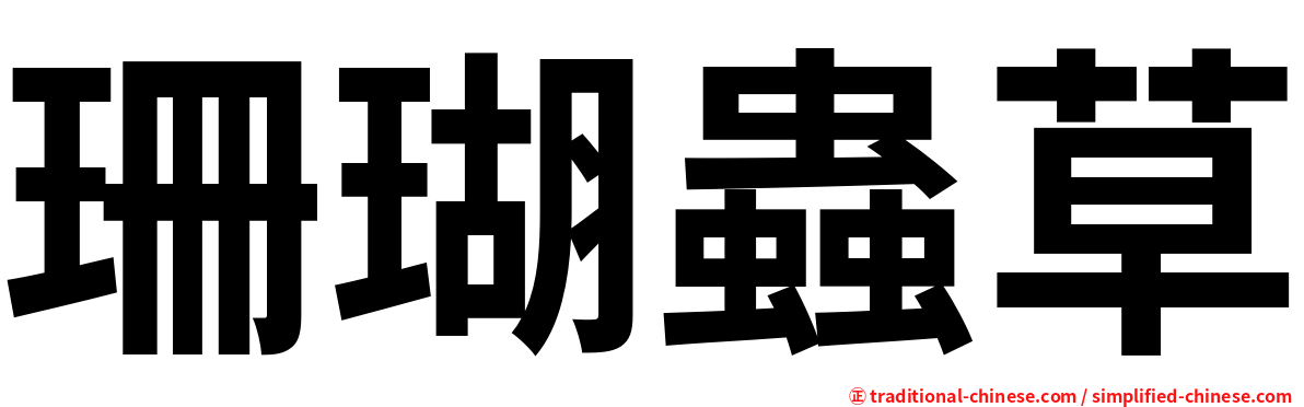 珊瑚蟲草