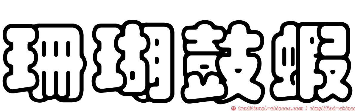 珊瑚鼓蝦
