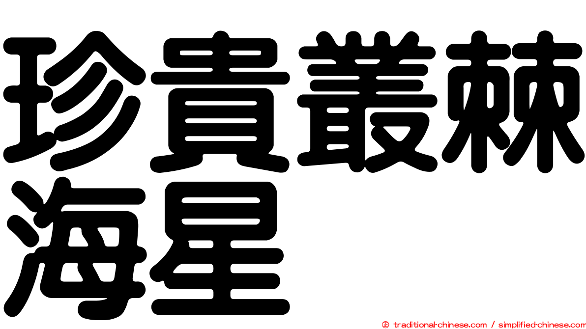 珍貴叢棘海星