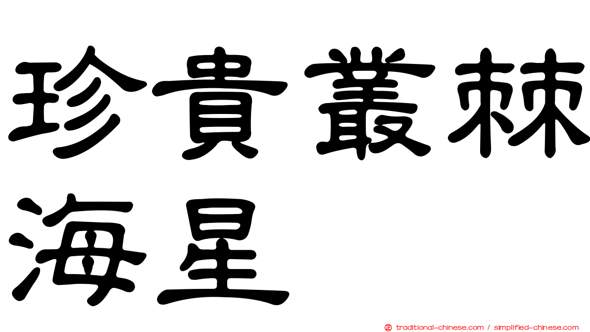 珍貴叢棘海星