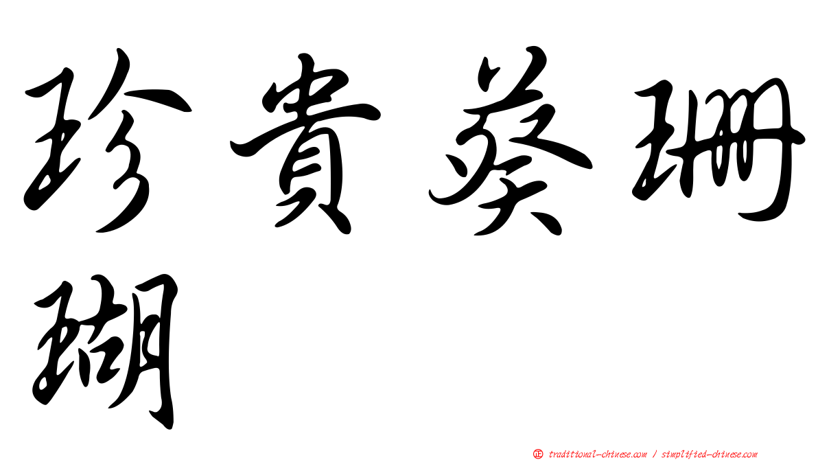 珍貴葵珊瑚