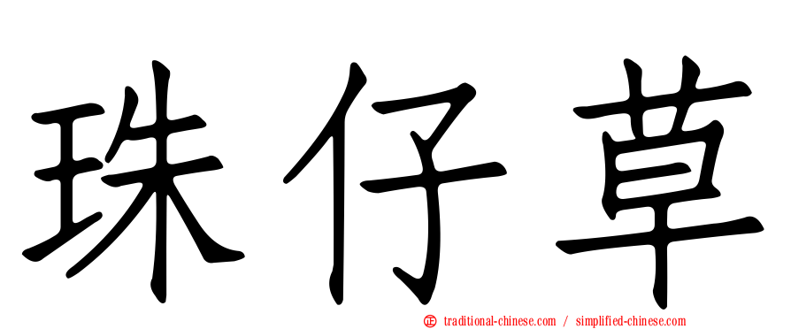 珠仔草
