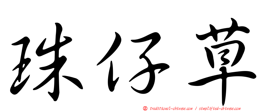 珠仔草