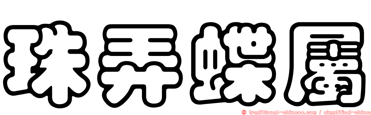 珠弄蝶屬