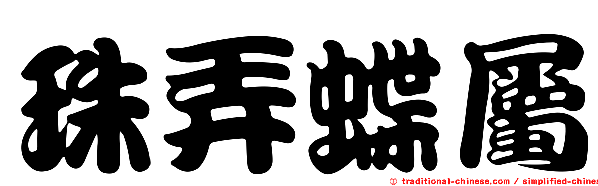 珠弄蝶屬