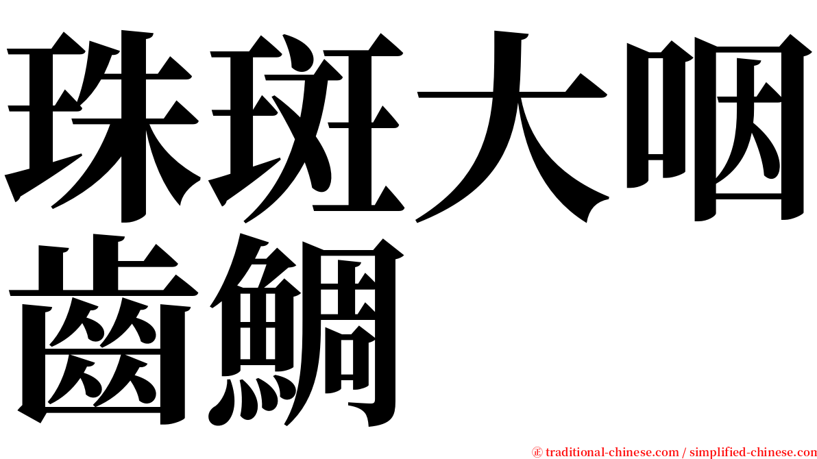 珠斑大咽齒鯛 serif font