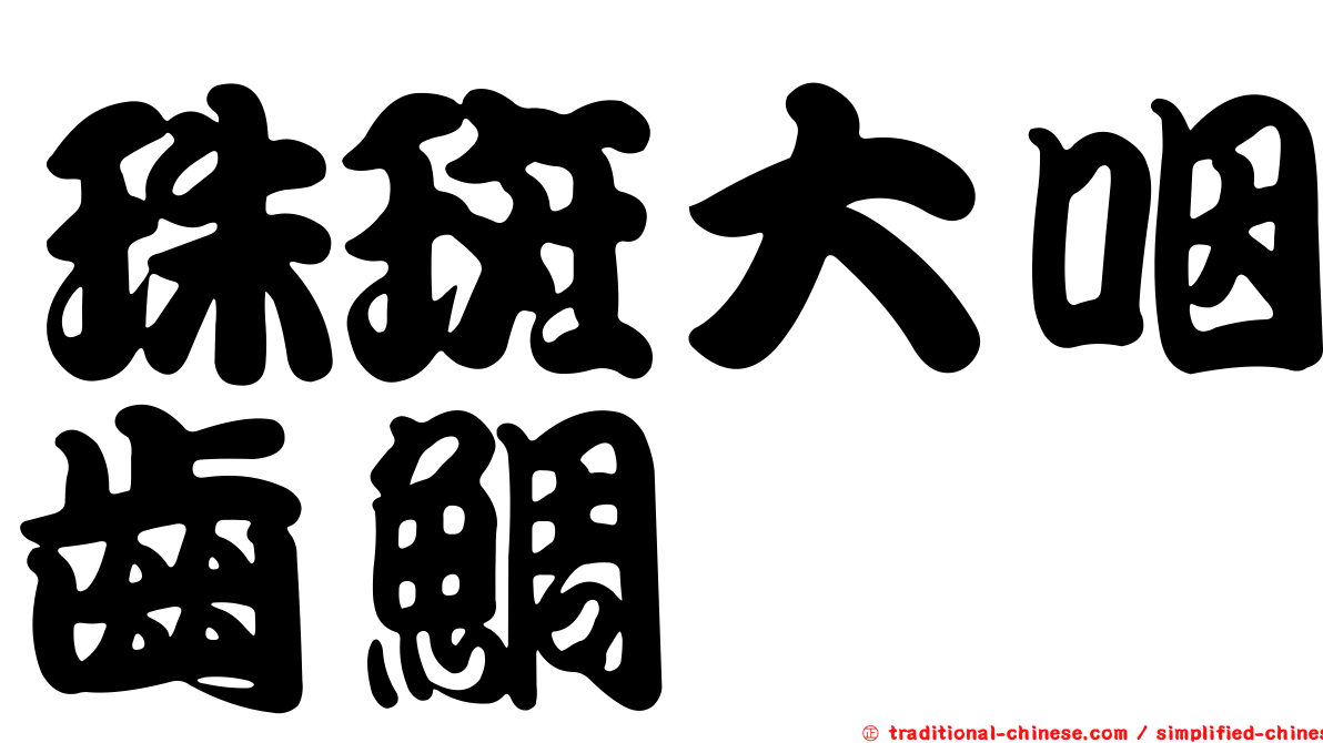 珠斑大咽齒鯛