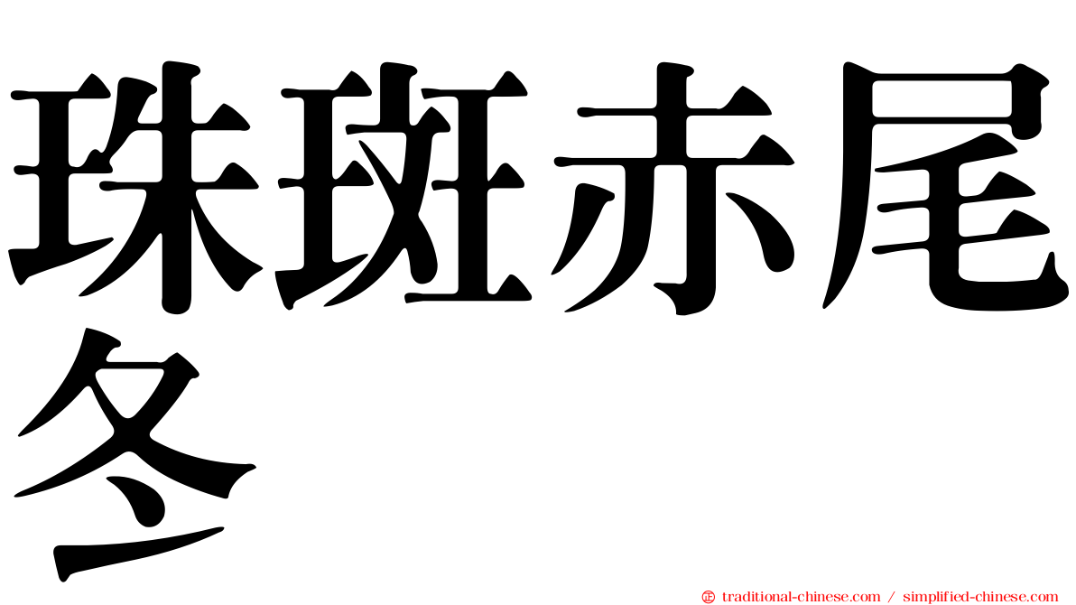 珠斑赤尾冬