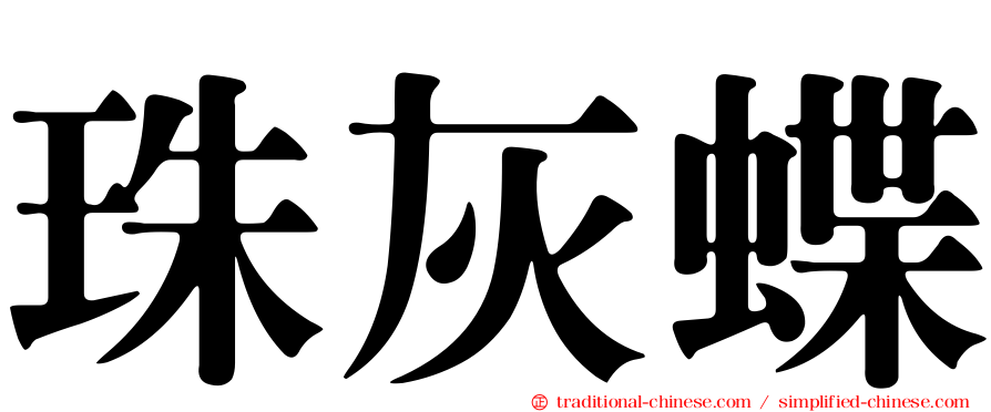 珠灰蝶